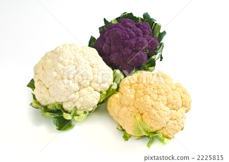 冬季蔬菜 花椰菜 蔬菜 2225815