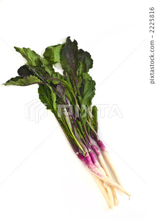 冬季蔬菜 京都蔬菜 食物 2225816