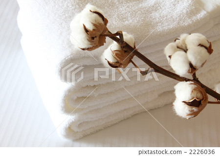 Towel and cotton 01 2226036
