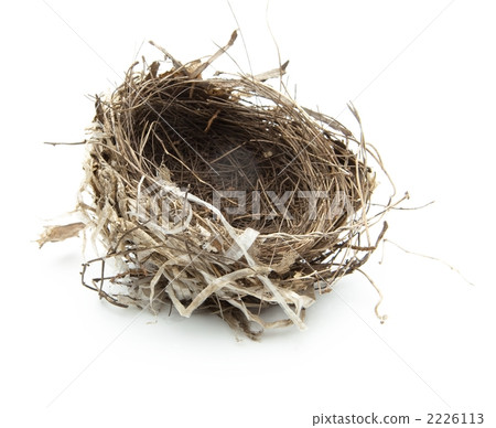 bird's Nest bird's Nest 2226113