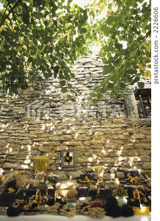 草藥配件 草藥配件 2226606