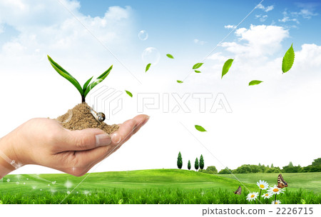 萌芽之手_k_ 749379 萌芽之手_k_ 749379 2226715