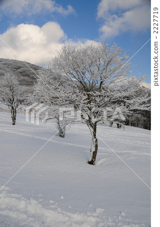 Meijinpei的Meikei Meijinpei的Meikei 2227719