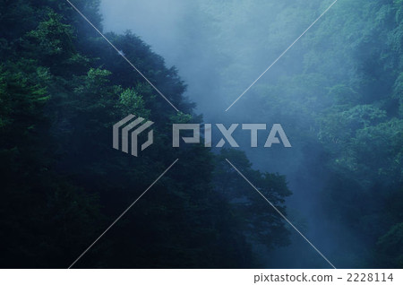 Morning fog Morning fog 2228114