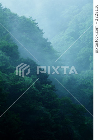 Morning fog Morning fog 2228116