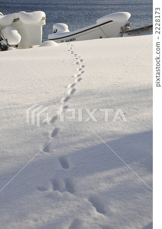 朝向對小船的雪腳印 2228173