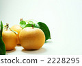 pear  2228295