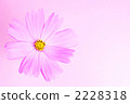 Cosmos 2228318