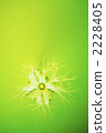 Caneur yellowberg 2228405