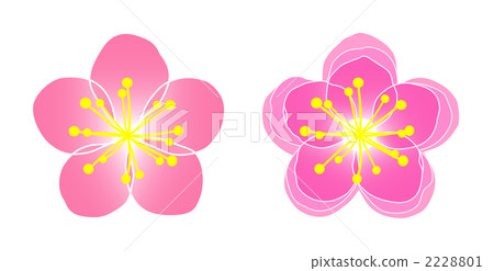 單桃和雙桃 2228801