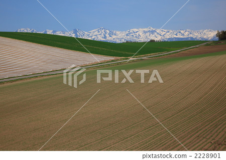春田和十勝湖野雨02 2228901