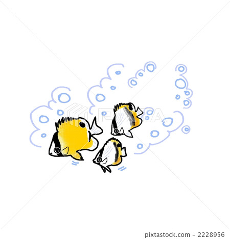 蝴蝶魚 蝴蝶魚 2228956