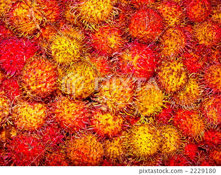 Mountain ranch Rambutan (Ho Chi Minh / Vietnam) Mountain ranch Rambutan (Ho Chi Minh / Vietnam) 2229180