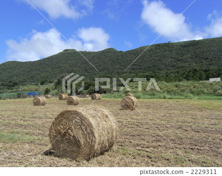 Straw roll and Ueh Castle Mt. 2229311