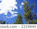 藍天 2229840