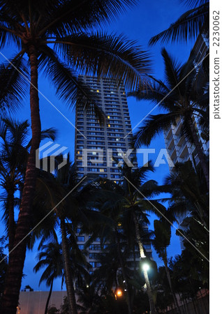 Holidays in Hawaii 2230062