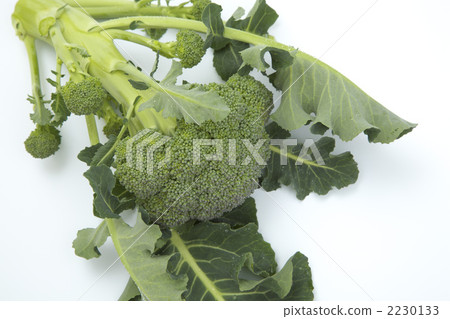 西蘭花 西蘭花 2230133