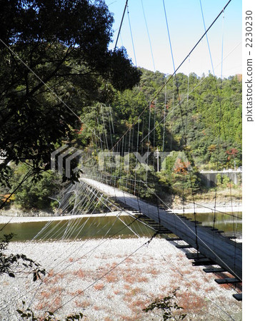 Totsukawa村吊橋Yanagimoto橋 2230230