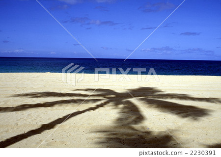 82104 Ala Moana Beach Oahu Hawaii 82104 Ala Moana Beach Oahu Hawaii 2230391