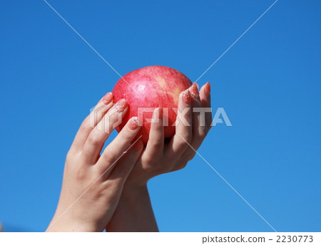 蘋果 手 一 2230773