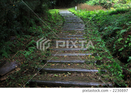 Iwami Ginzan銀路 2230897