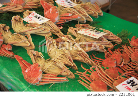 鳥取的松針 2231001