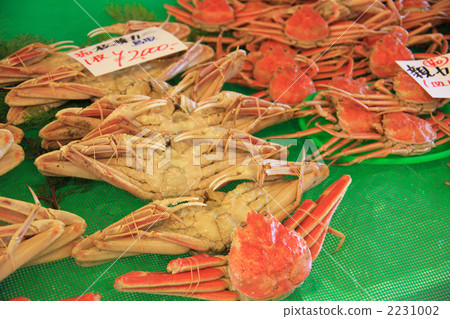 鳥取的松針 2231002