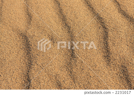 風沙戲的沙丘 2231017