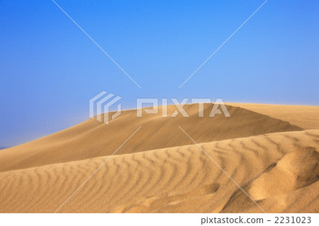 鳥取沙丘 2231023