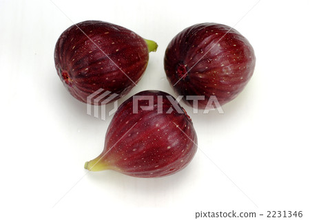 Fig (d 100823 - 001) 2231346