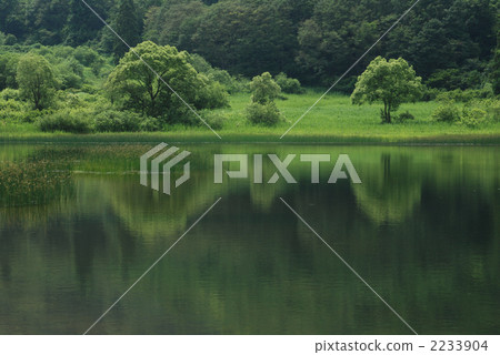 pond, scape, scene 2233904