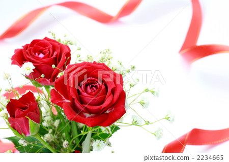 玫瑰和絲帶 2234665