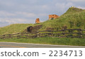 Cows of Aso 2234713