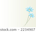 Light blue flowers 2234907