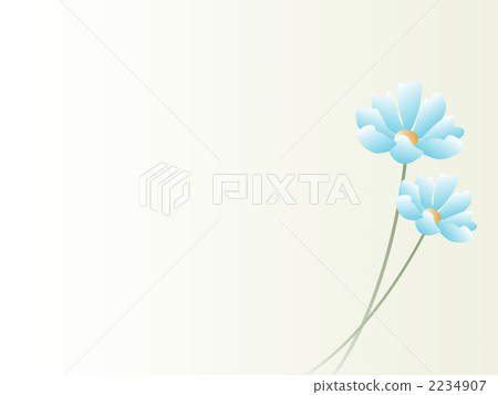 Light blue flowers 2234907