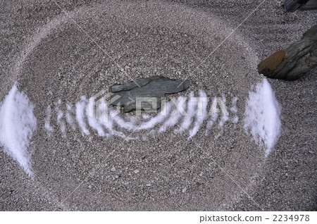 Snow makeup garden 2234978