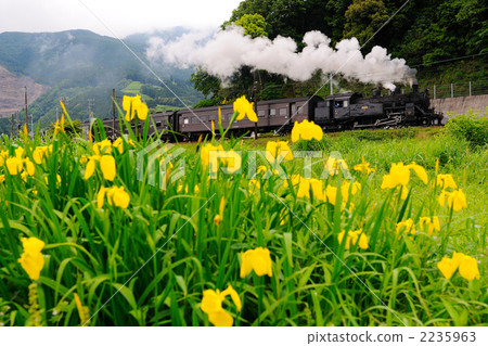 Kishoub和蒸汽機車 Kishoub和蒸汽機車 2235963