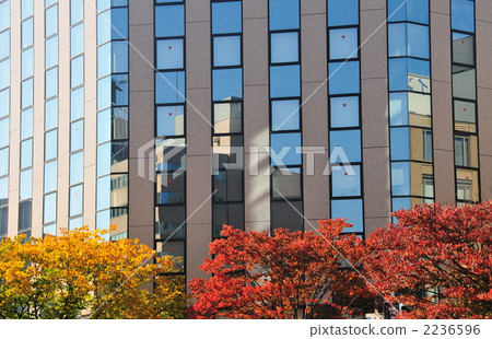 鏡子玻璃建築大膽的葉子 2236596