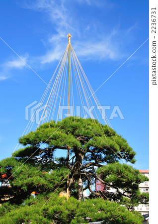 Pine snow fishing 2236731