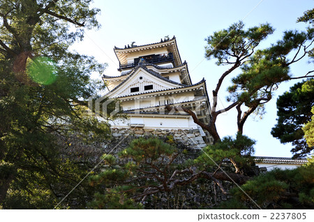 高知城堡塔 2237805