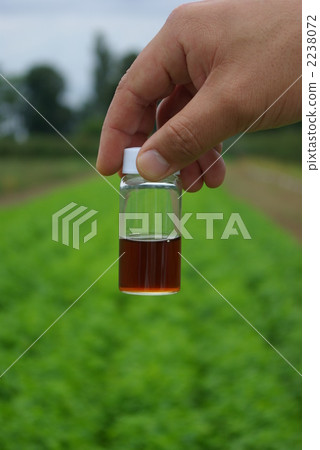 alpine, herb garden, herbal medicine 2238072