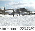 Snow ranch 2238389