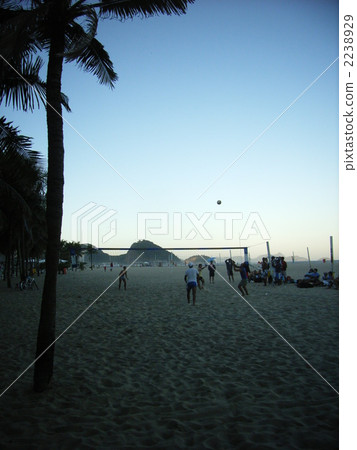 伊帕內瑪排球 2238929