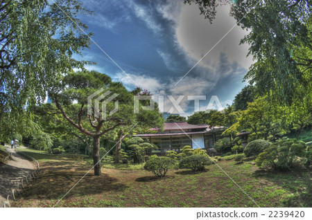 行船公園 日本園林 日式花園 2239420