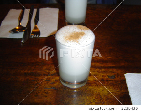 Pisco's squirrel in Peru 2239436