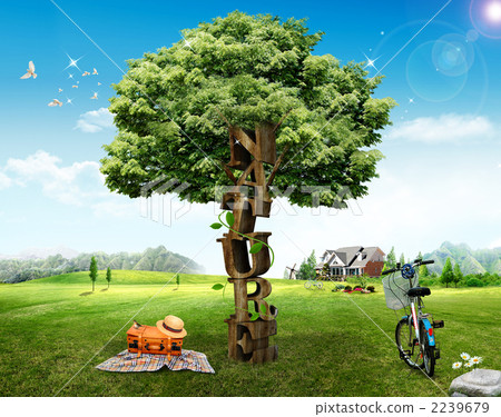 Tree _jl_ 961006 2239679