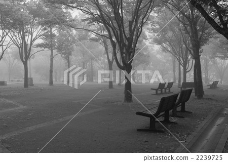 bench, benches, park 2239725