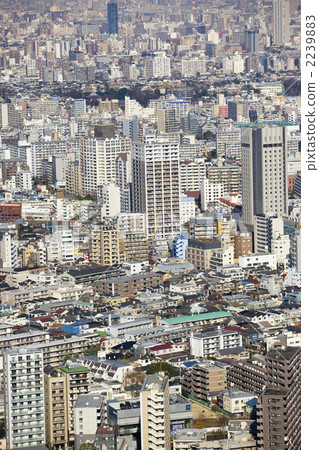 Prospect from the Tokyo Metropolitan Government Building 2239883