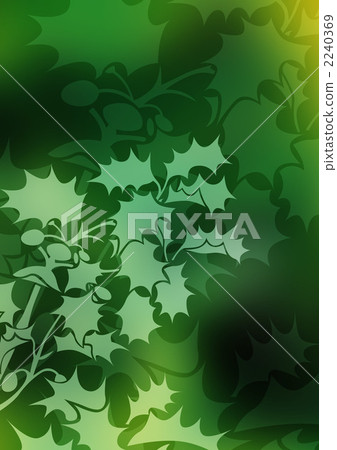 false holly, holly, holly osmanthu 2240369