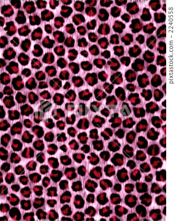 Inside leopard pattern 2240558